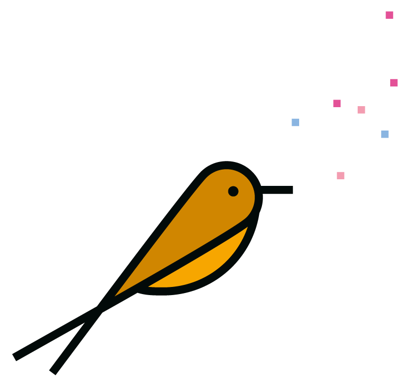 bird